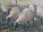 Preview: Kunstdruck mit Struktur, Schafe hütendes Mädchen