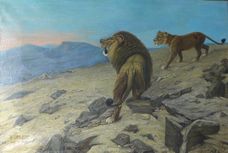 Gemälde Löwen, Löwenpaar, Maler H. Ortlepp
